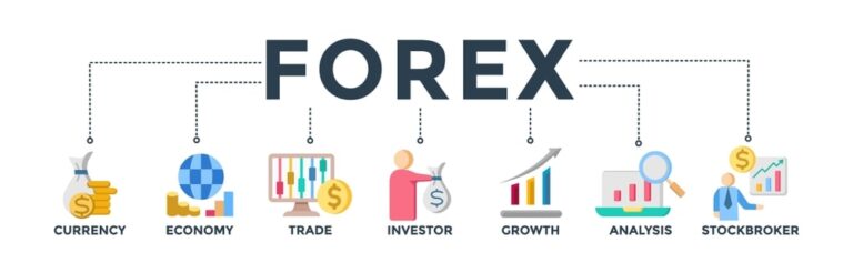 Maîtriser le Forex : Un guide complet sur le trading des devises